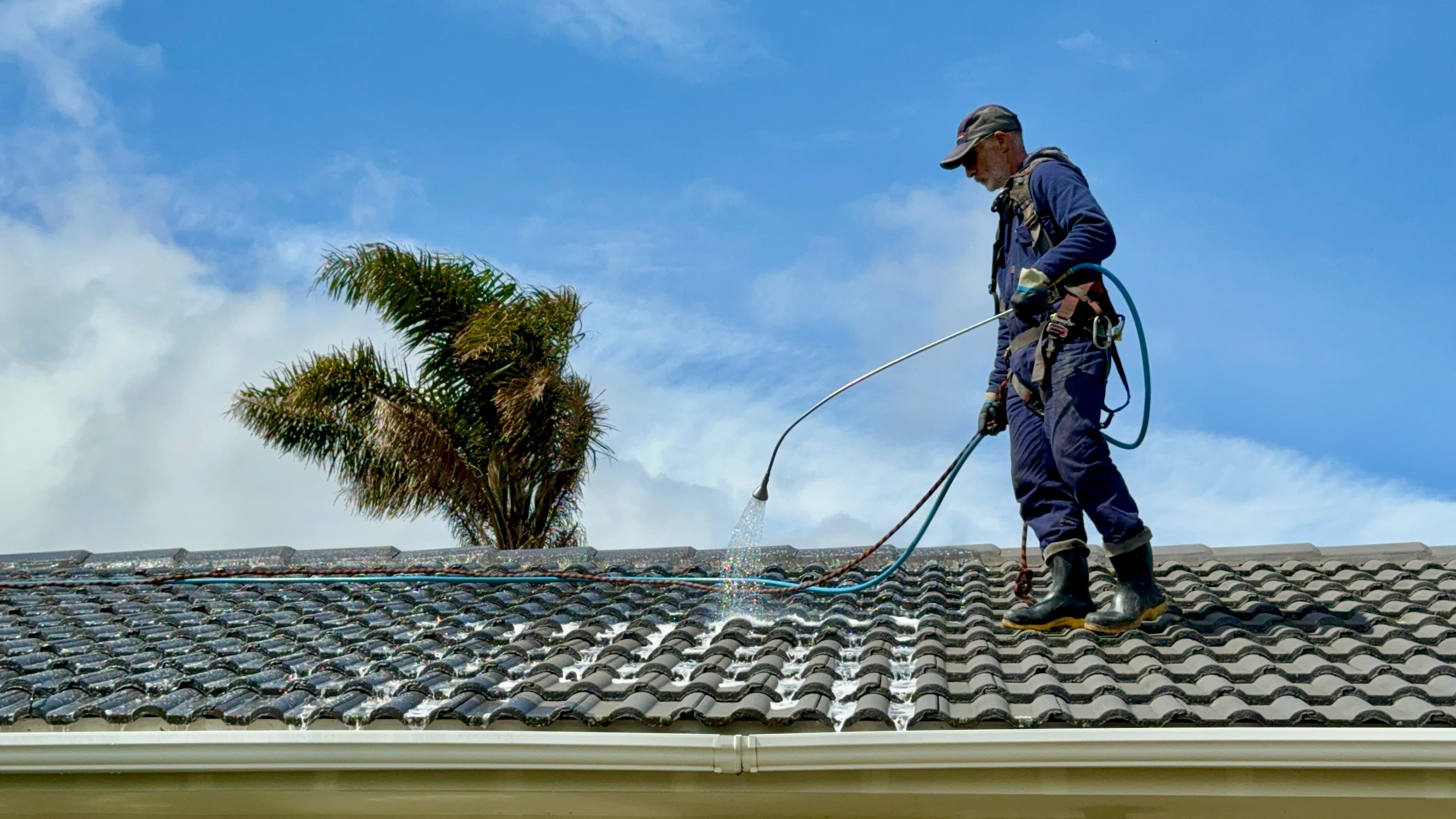 Unveiling the Green Menace: When and How to Hire Professional Moss Removal Services