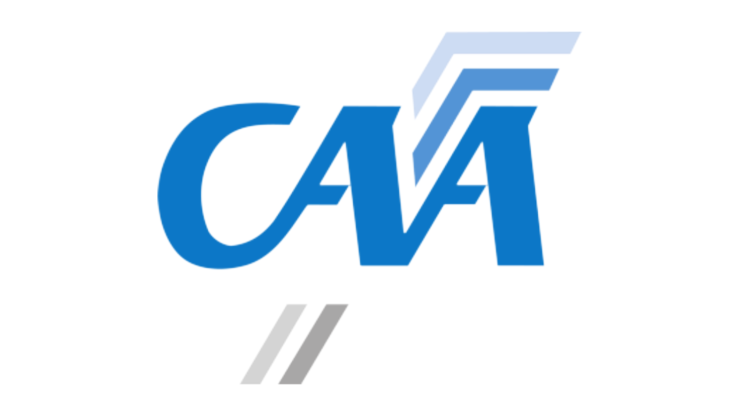 Civil Aviation Authority of New Zealand logo with blue letters.