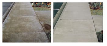 Before & After RoofGuard® Treatment Comparison