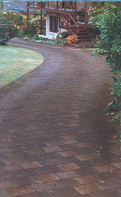 Before RoofGuard® Driveway Treatment