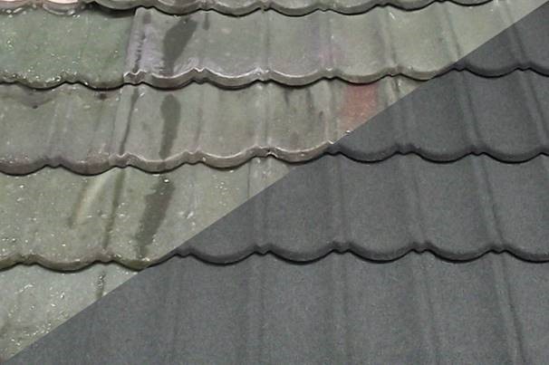 Navigating the Elements: Common Roofing Problems in New Zealand