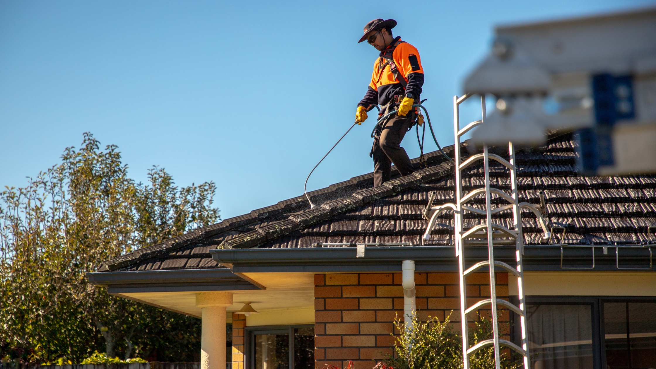 Do You Really Need To Moss Treatment Clean Your Roof?