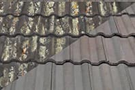 Moss on Different Roofing Materials: Understanding the Impact and Solutions
